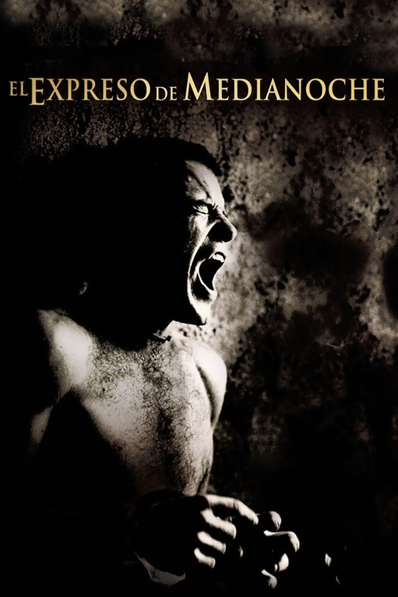 El expreso de medianoche (Midnight Express)