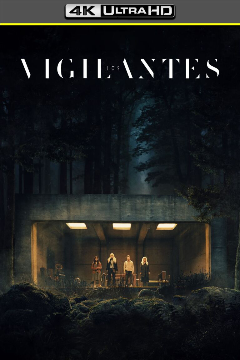 Los vigilantes