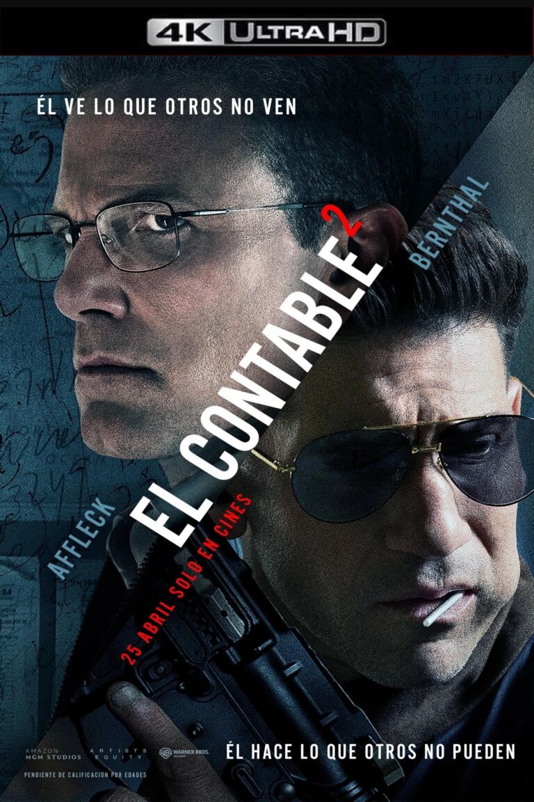 El contable 2