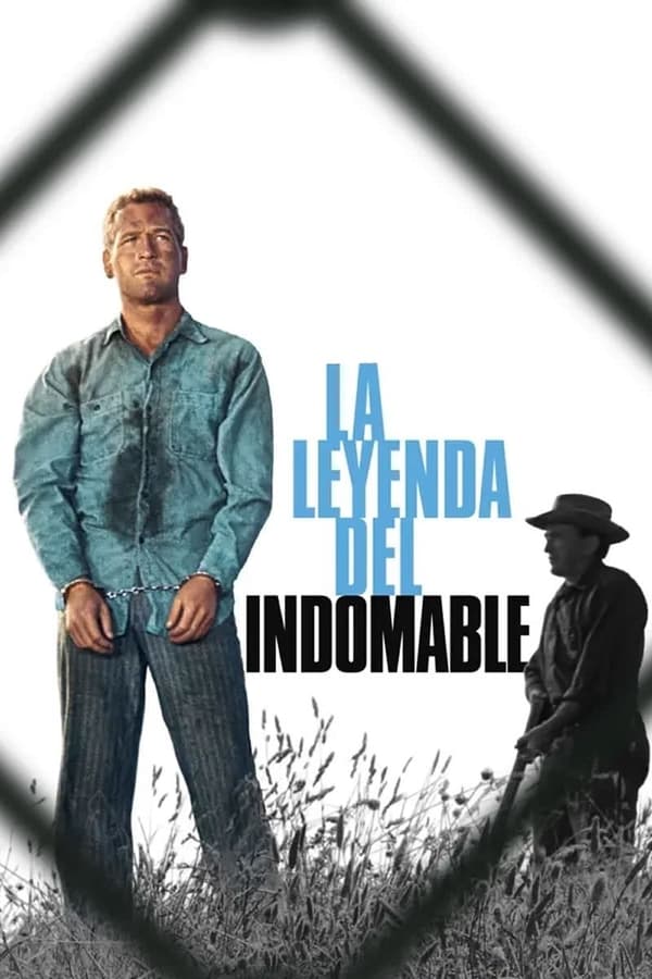 La leyenda del indomable
