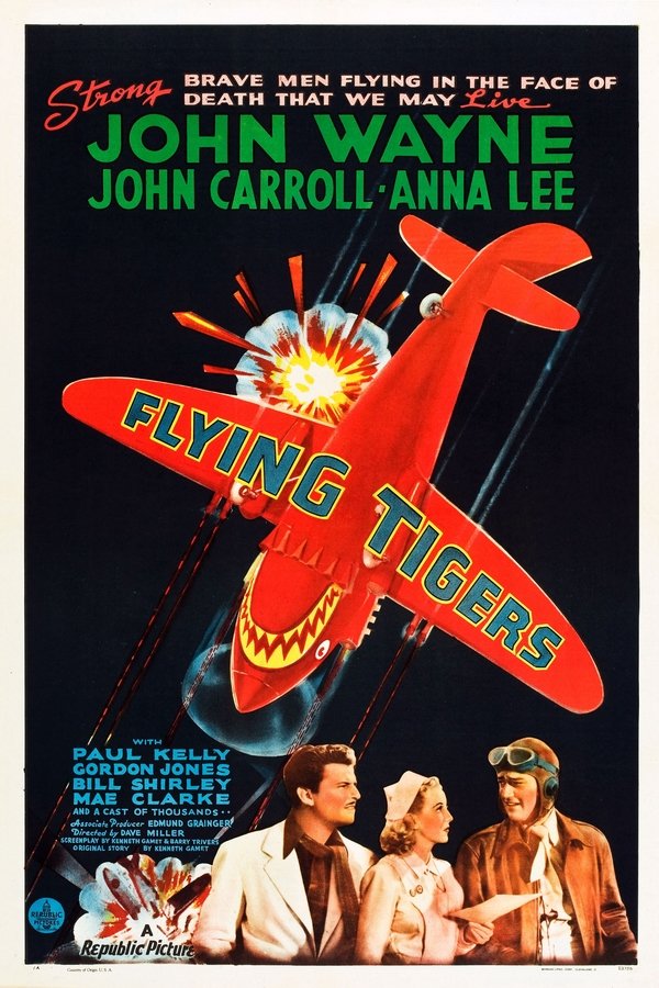 Tigres del aire