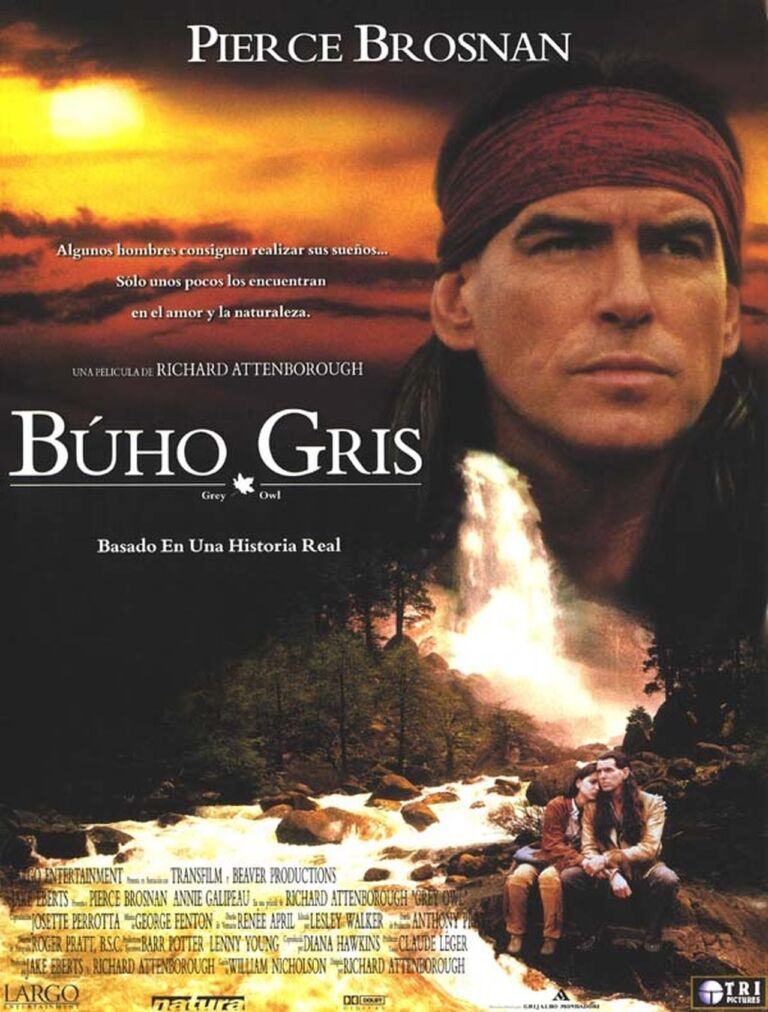 Búho gris