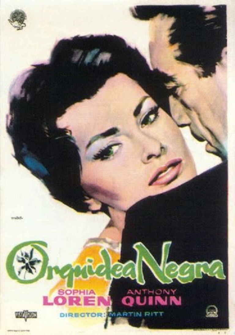 Orquídea negra