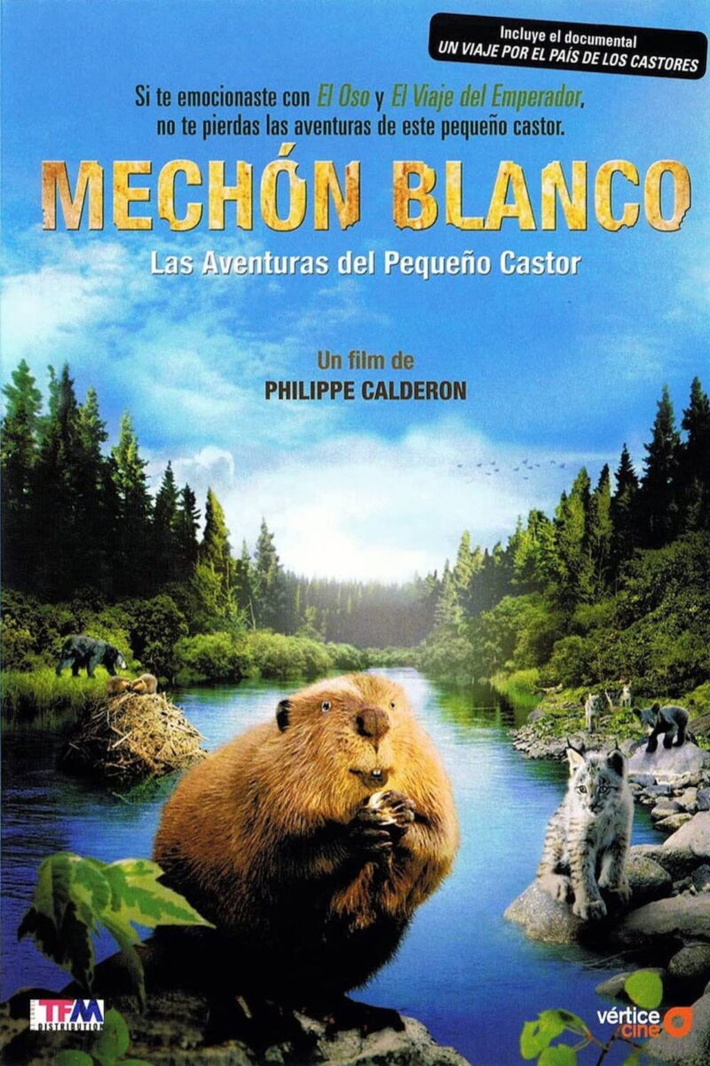 Mechón Blanco: las aventuras del pequeño castor