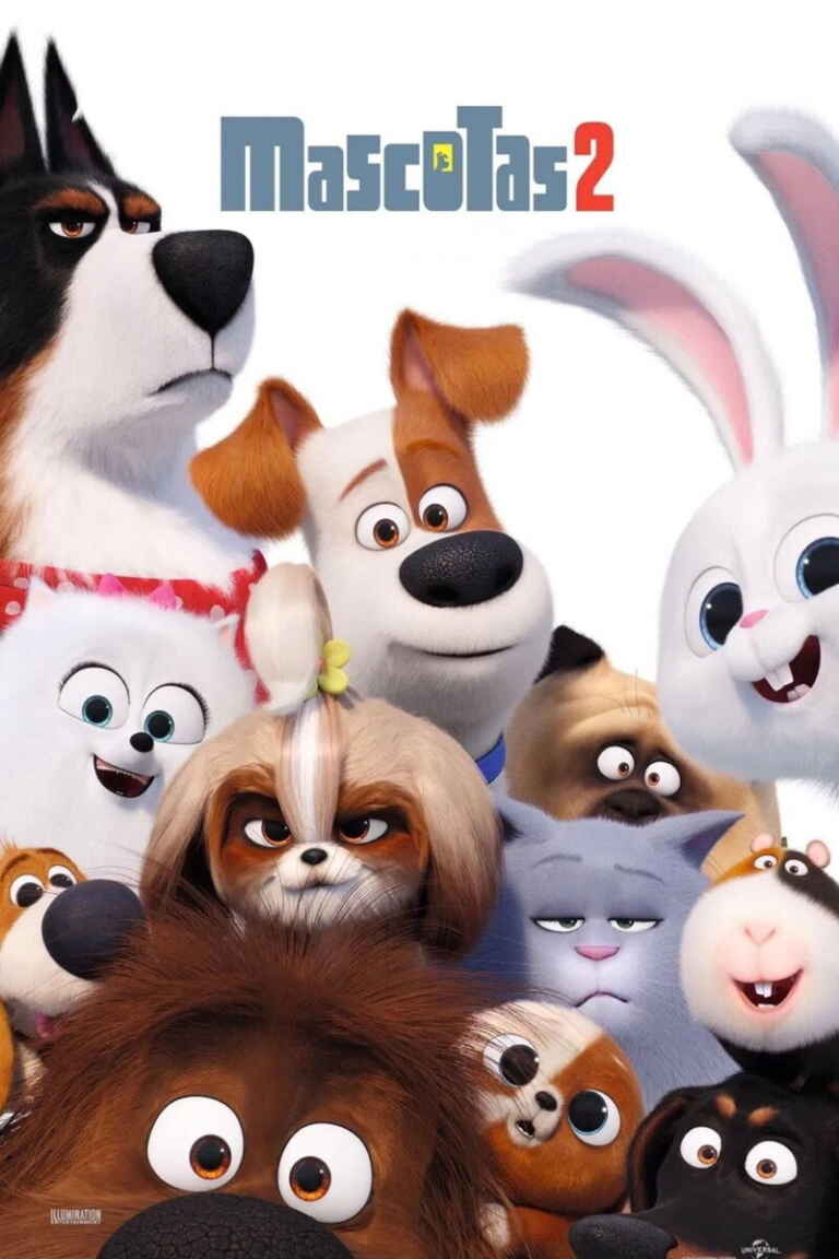 Mascotas 2