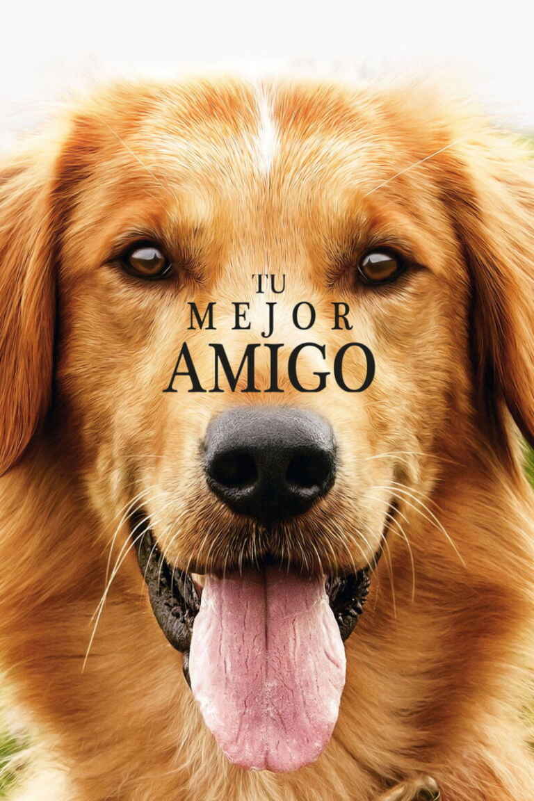 Tu mejor amigo