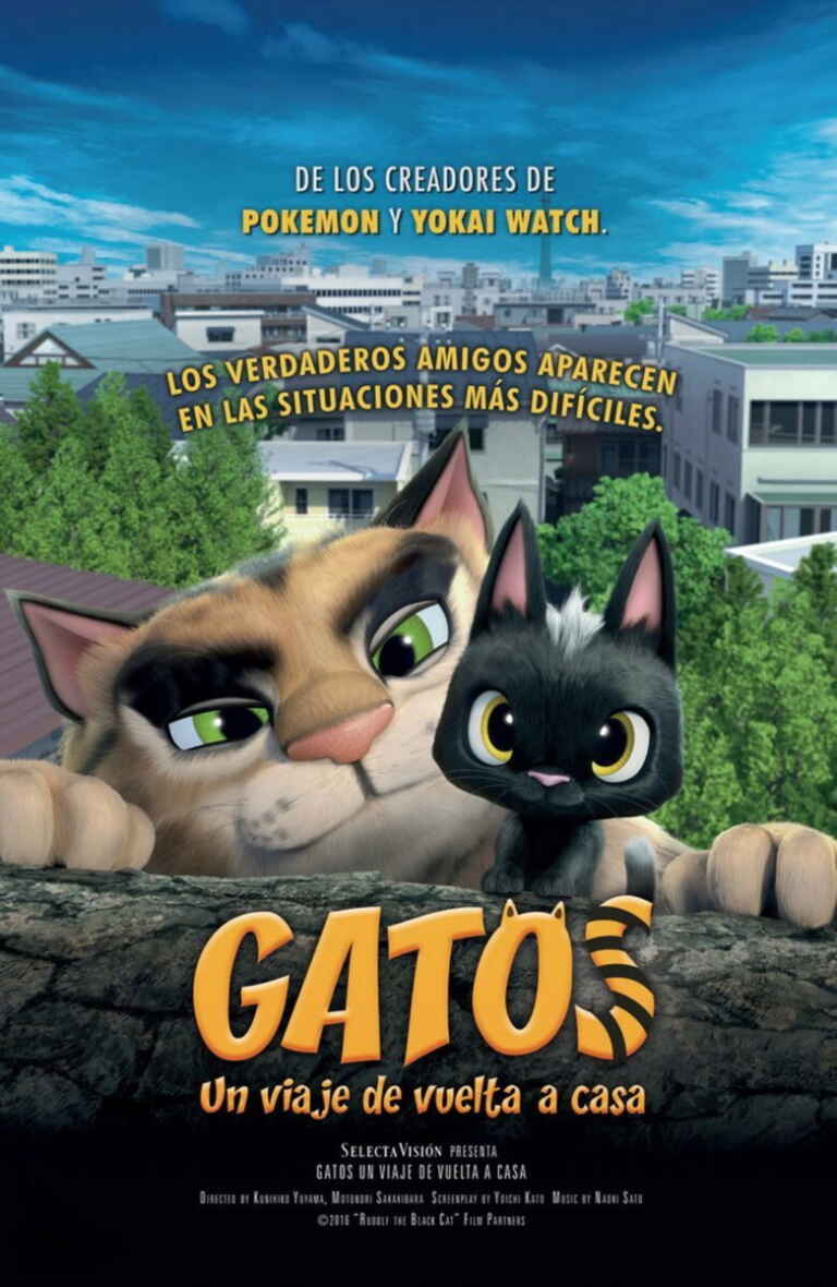 Gatos. Un viaje de vuelta a casa