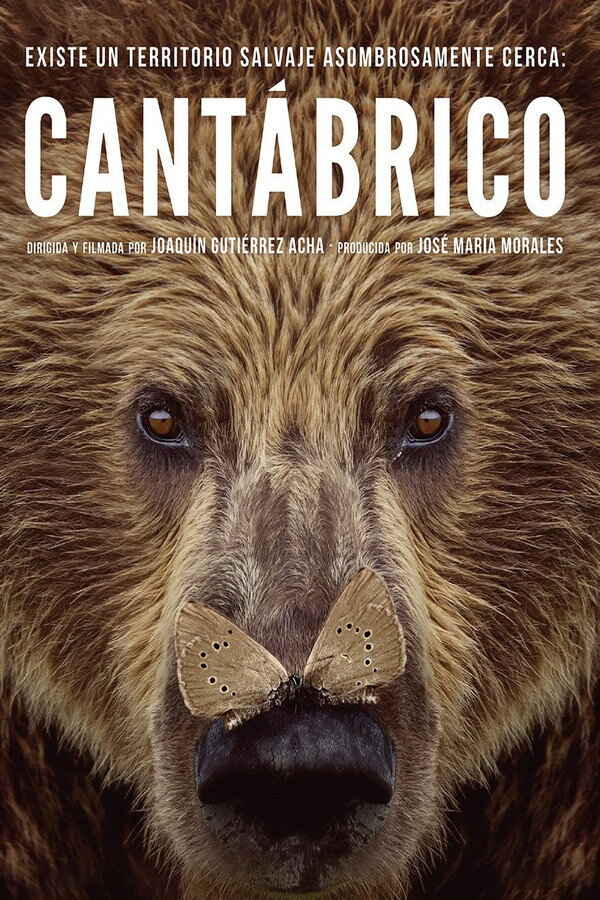 Cantábrico